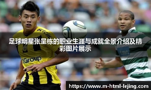 足球明星张呈栋的职业生涯与成就全景介绍及精彩图片展示